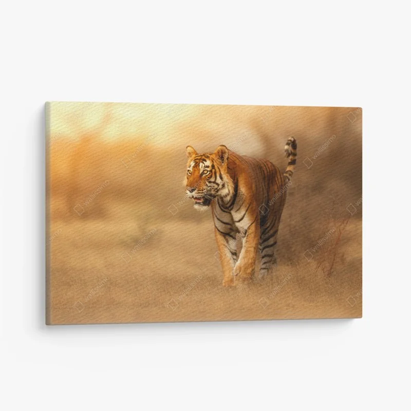 Leinwandbild majestätischer tiger im goldenen licht