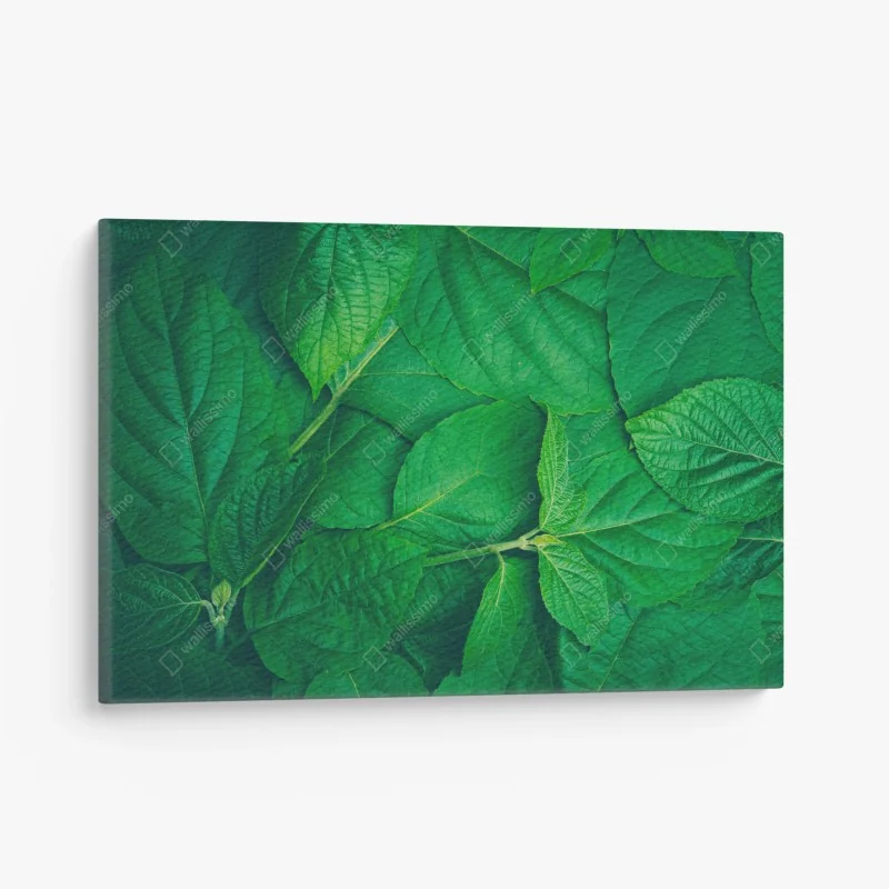 Leinwandbild sonnenuntergang am hölzernen steg – Wallnifity®