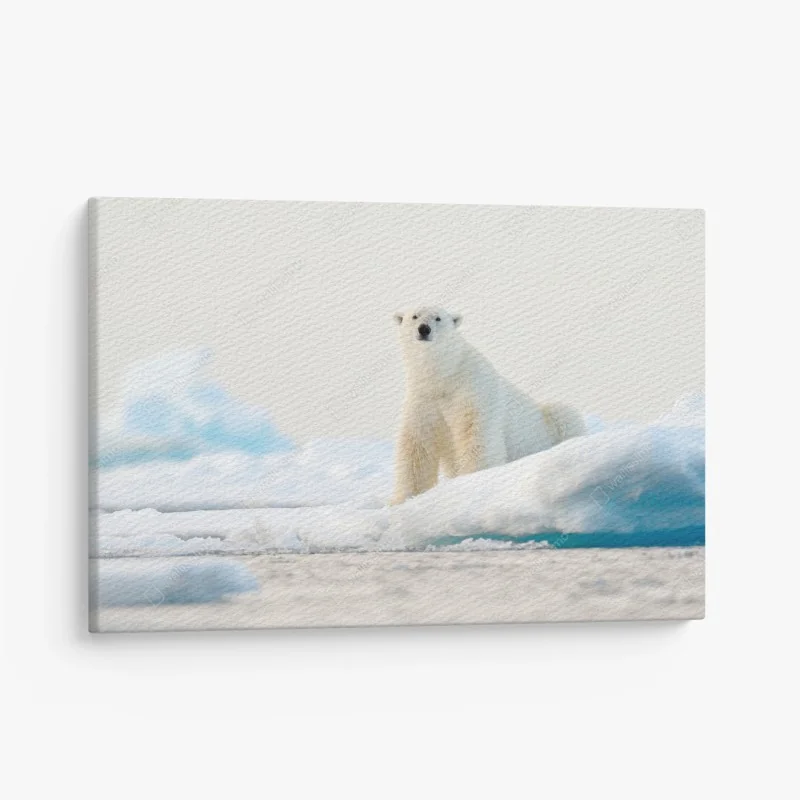 Leinwandbild eisbär auf eis in der Arktis, Svalbard
