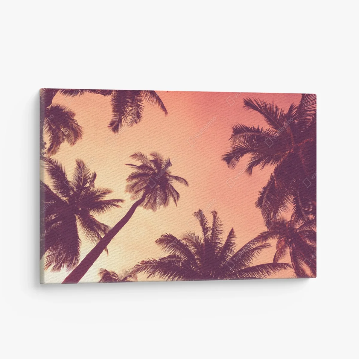 Leinwandbild tropische palmen bei sonnenuntergang – Wallnifity® Leinwandbild tropische palmen bei sonnenuntergang – Wallnifity®