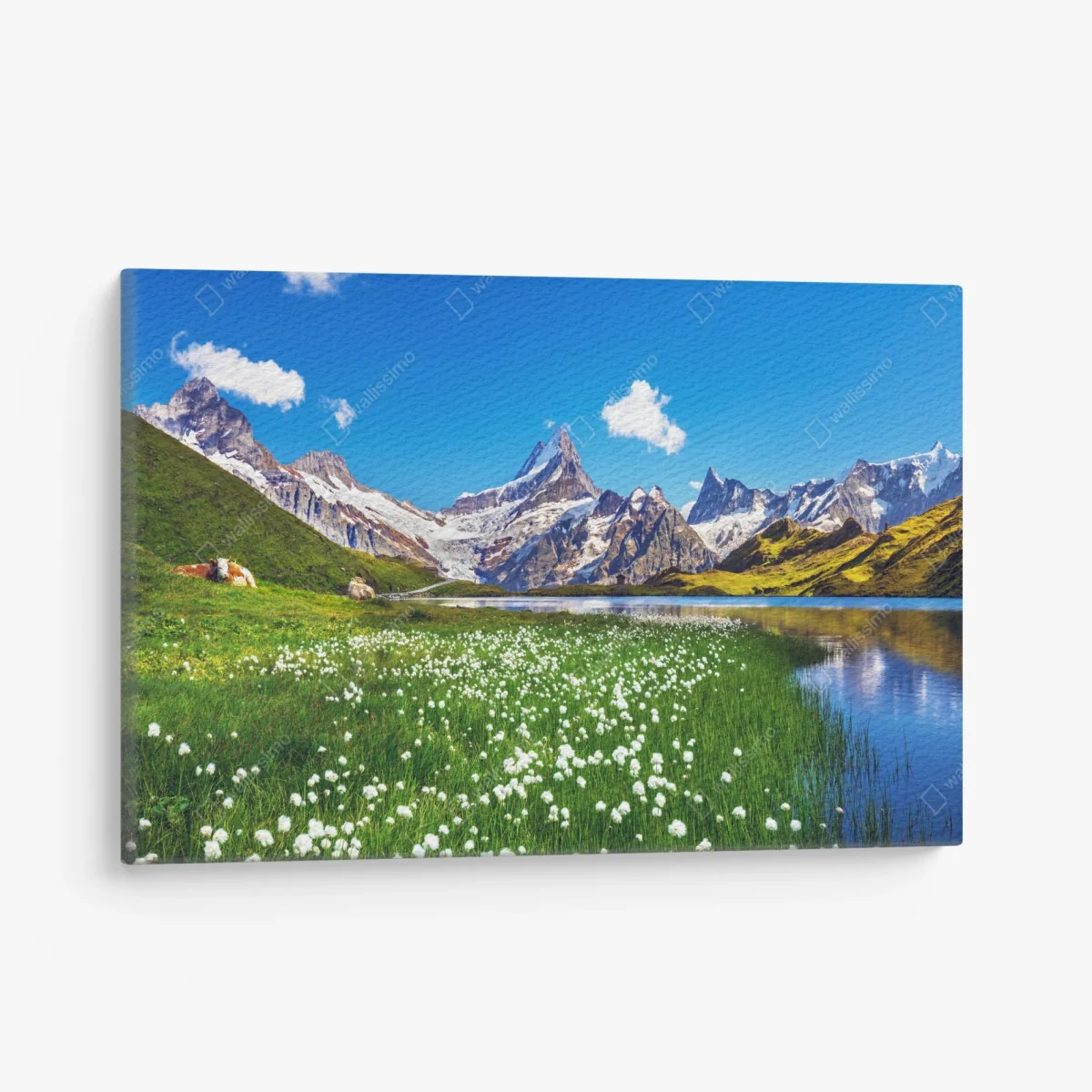 Leinwandbild alpensee mit blumenwiese und berggipfeln – Wallnifity®