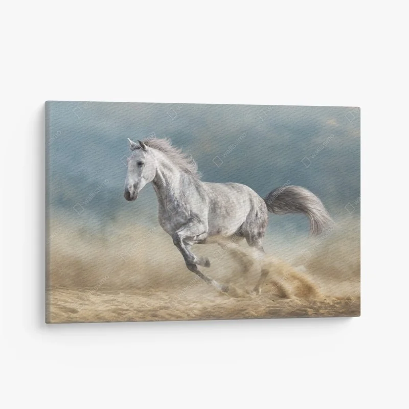 Leinwandbild majestätisches graues pferd galoppiert durch den sand