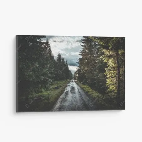 Leinwandbild waldweg durch neblige kiefern – Wallnifity®