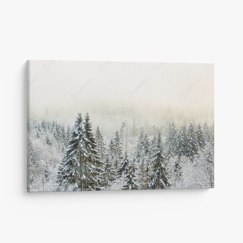 Leinwandbild verschneiter wald im sanften nebel
