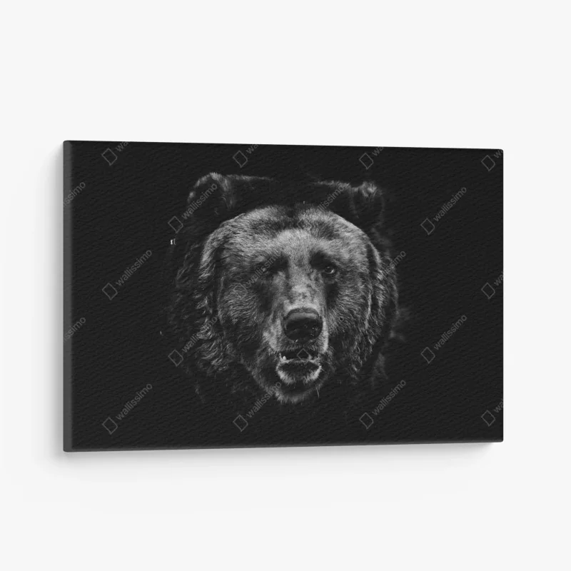 Leinwandbild düsteres grizzly-porträt in monochrom