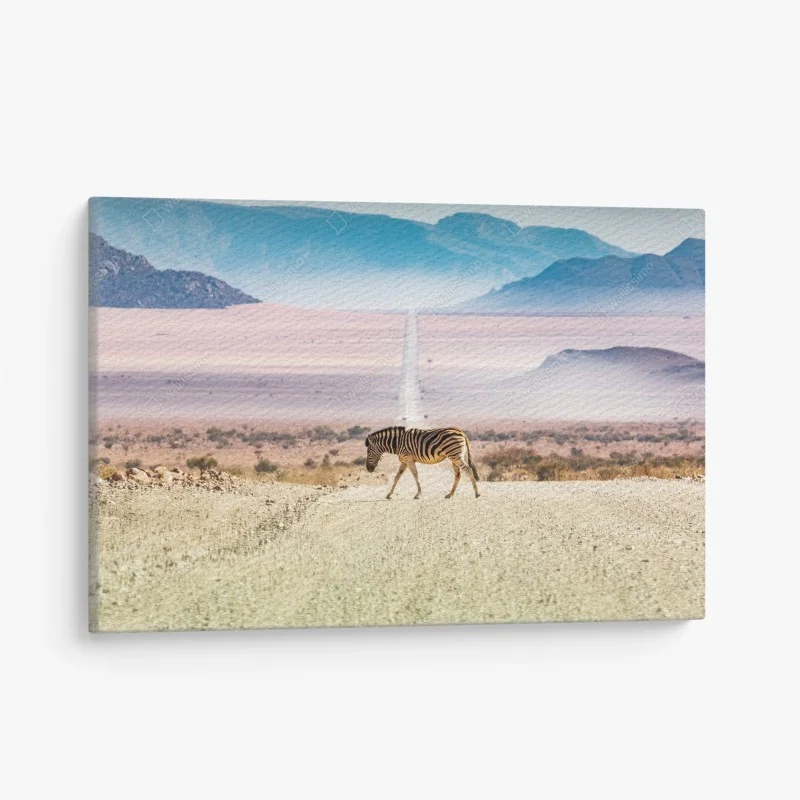 Leinwandbild zebra auf der wüstenstraße