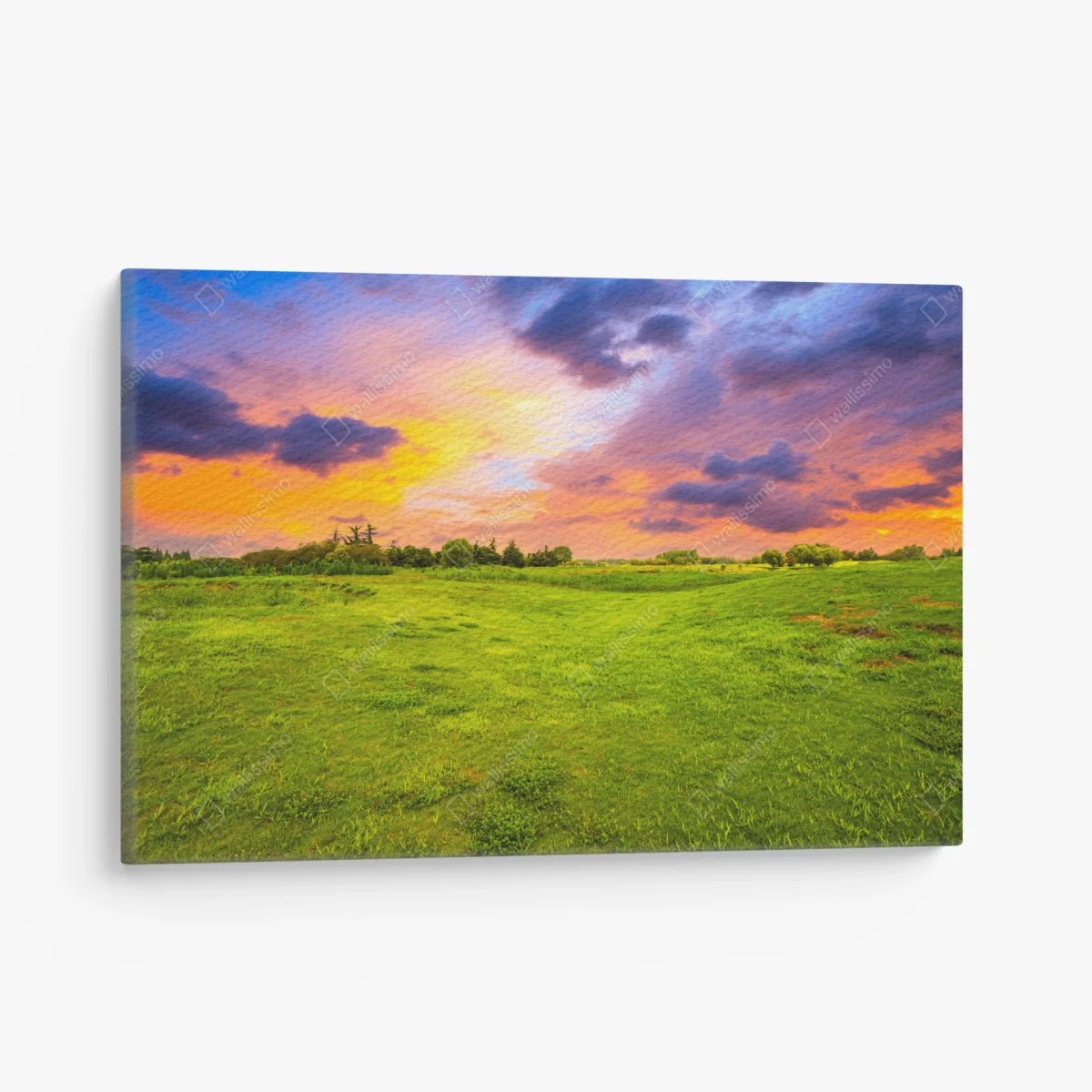 Leinwandbild sonnenuntergang über grüner wiese – Wallnifity®