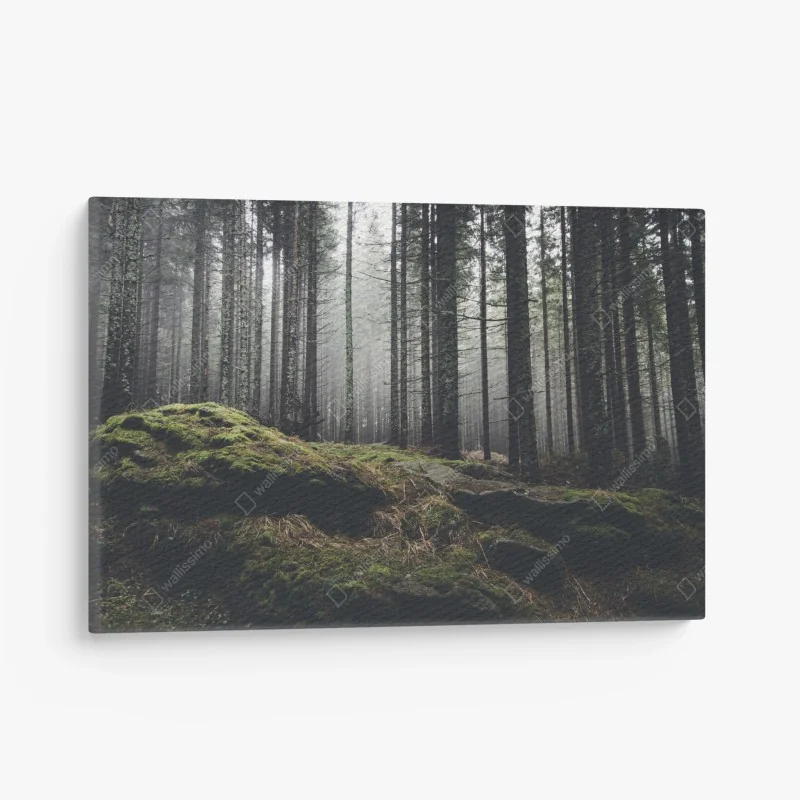 Leinwandbild Great Ocean Road küstenpanorama – Wallnifity®