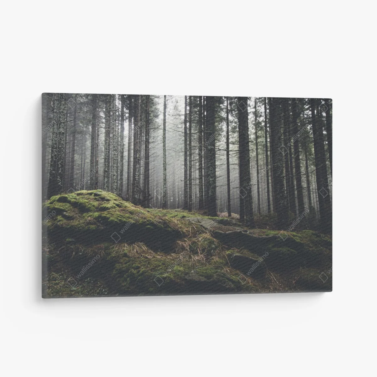 Leinwandbild nebliger moosbedeckter wald – Wallnifity® Leinwandbild nebliger moosbedeckter wald – Wallnifity®