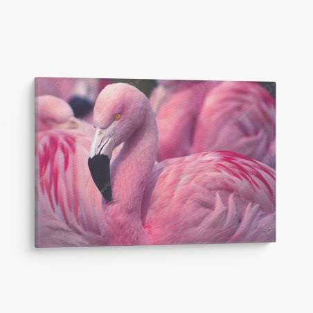Leinwandbild rosa flamingo-porträt – Wallnifity®