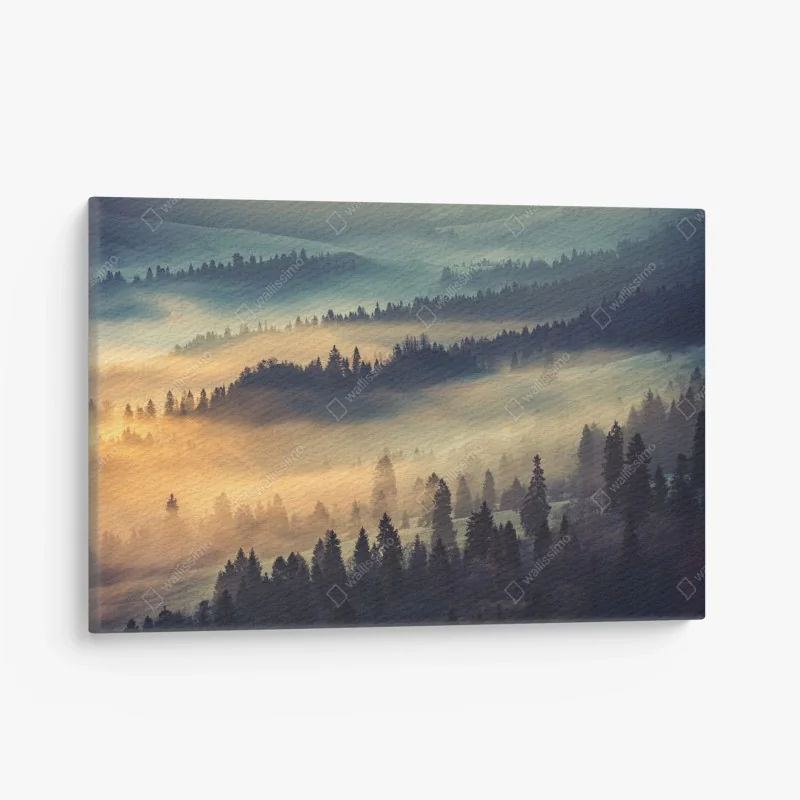 Leinwandbild nebliger bergwald im sonnenaufgang