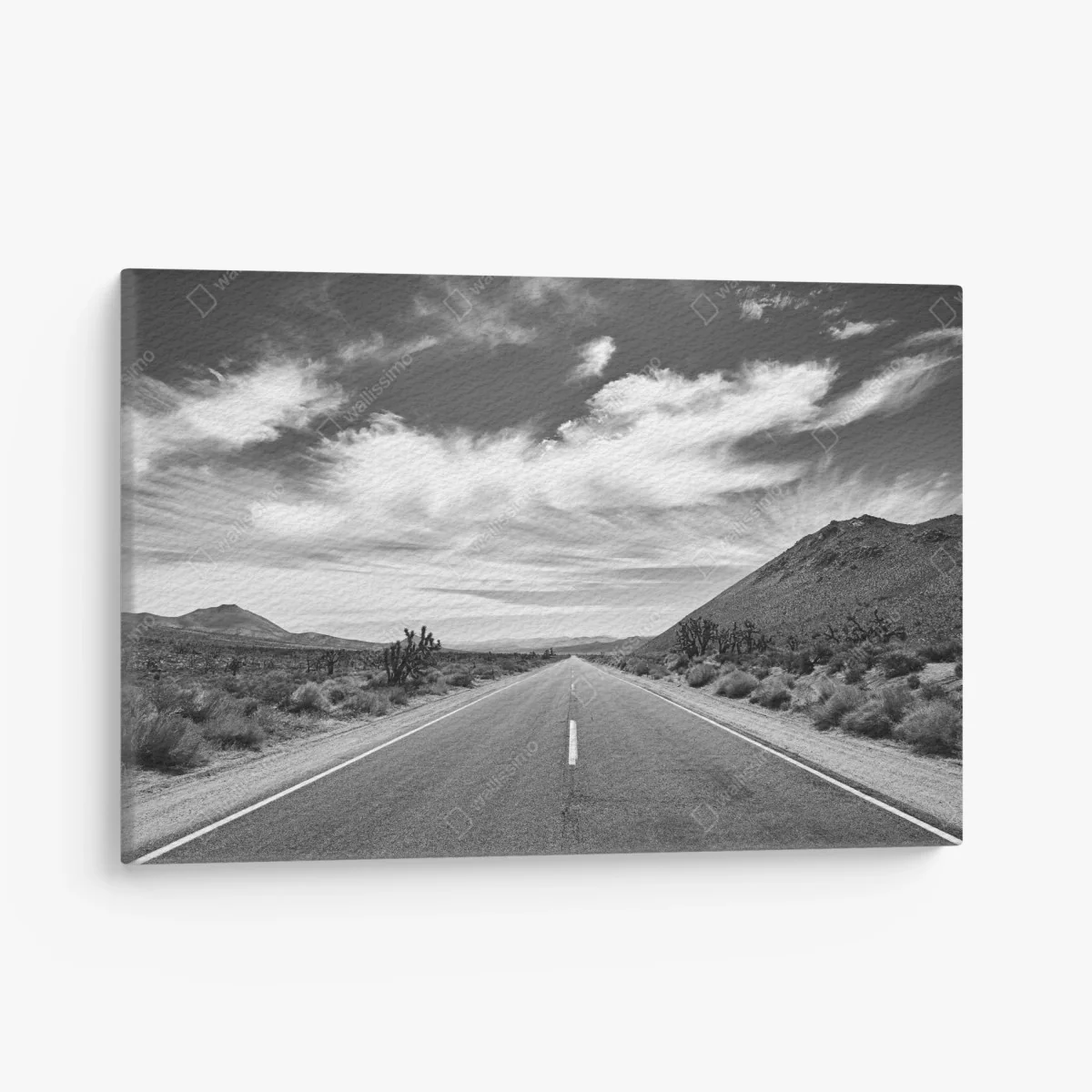 Leinwandbild Death Valley offene Straße in schwarzweiß – Wallnifity®