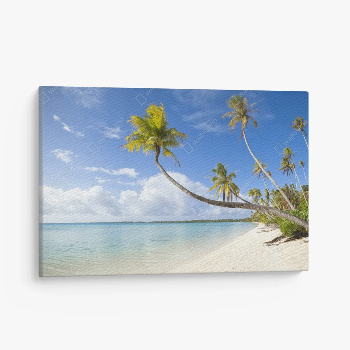 Leinwandbild tropischer türkisblauer strand mit geneigter palme – Wallnifity®