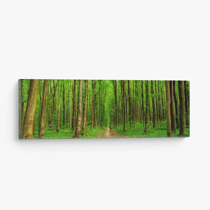 Leinwandbild nebliger moosbedeckter wald – Wallnifity®