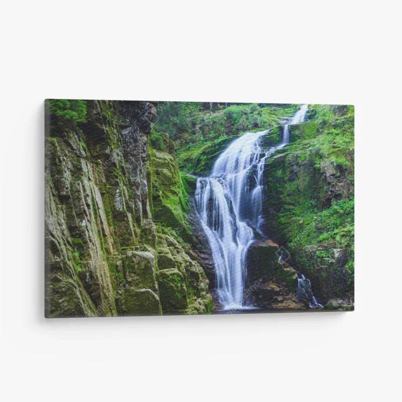 Leinwandbild intensive rote rosen nahaufnahme – Wallnifity®