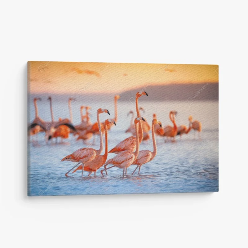 Leinwandbild rosa flamingos bei sonnenuntergang