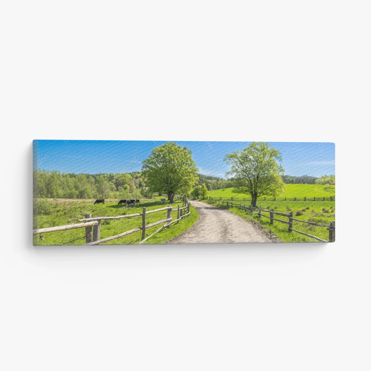 Leinwandbild sonnige landstraße durch grüne wiesen – Wallnifity® Leinwandbild sonnige landstraße durch grüne wiesen – Wallnifity®