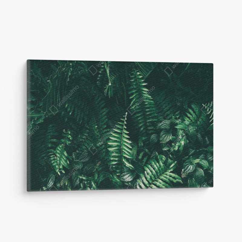 Leinwandbild feine botanische linienzeichnung mit blumen – Wallnifity®