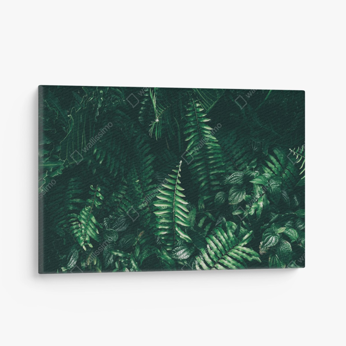 Leinwandbild üppige tropische grüne blätter – Wallnifity® Leinwandbild üppige tropische grüne blätter – Wallnifity®