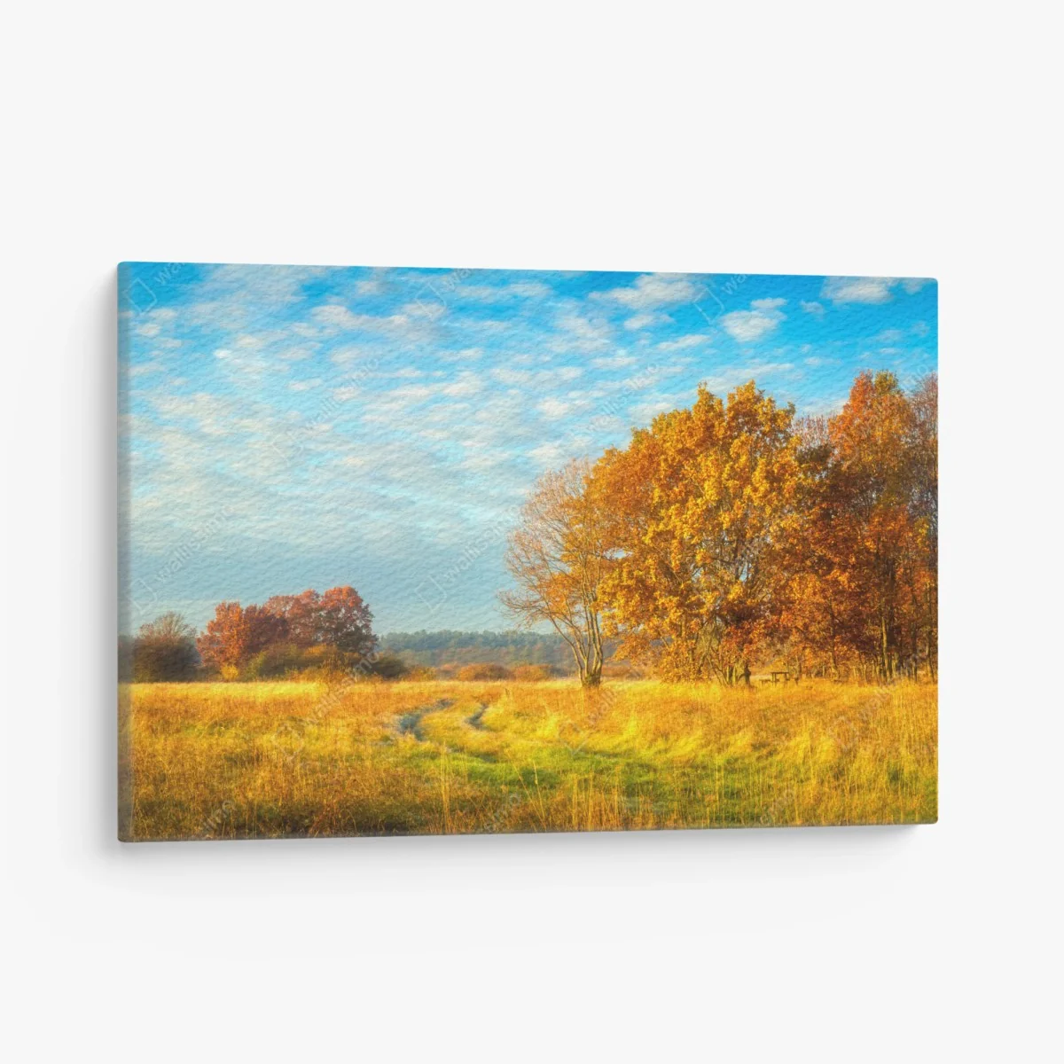 Leinwandbild goldene herbstwiese – Wallnifity® Leinwandbild goldene herbstwiese – Wallnifity®