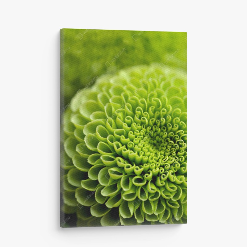 Leinwandbild leuchtende grüne blumenspirale im makro