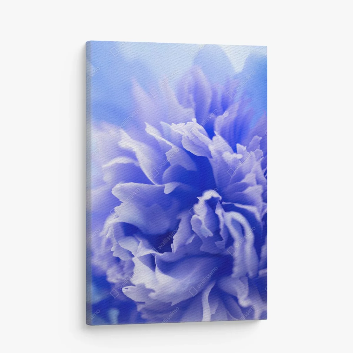 Leinwandbild sanfte blaue abstrakte blume nahaufnahme – Wallnifity®