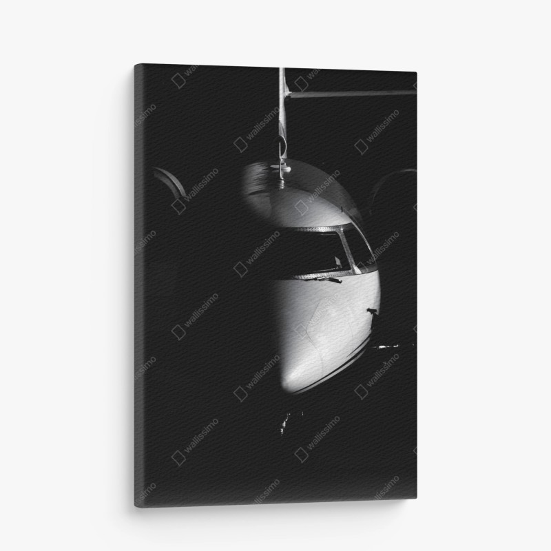 Leinwandbild monochromes porträt der flugzeugnase