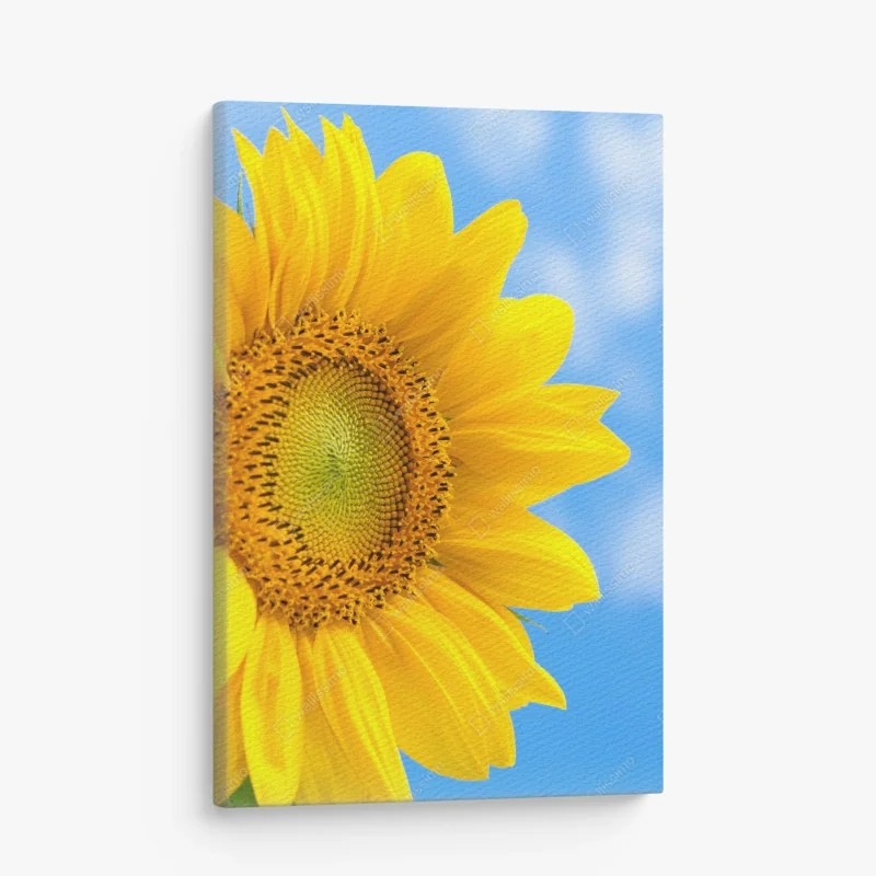 Leinwandbild leuchtende sonnenblume vor blauem himmel