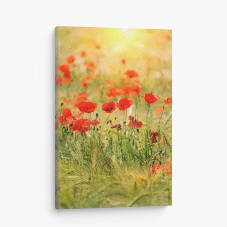 Leinwandbild rote mohnwiese im sonnenlicht – Wallnifity®