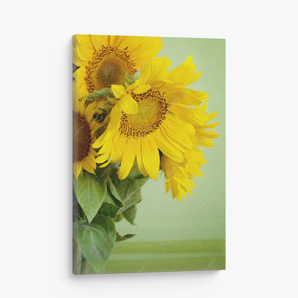 Leinwandbild heller sonnenblumenstrauß auf grünem hintergrund – Wallnifity®