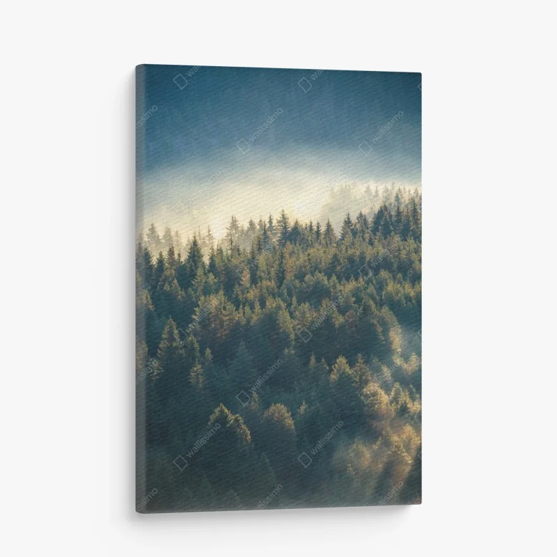 Leinwandbild nebliger kiefernwald im morgenlicht