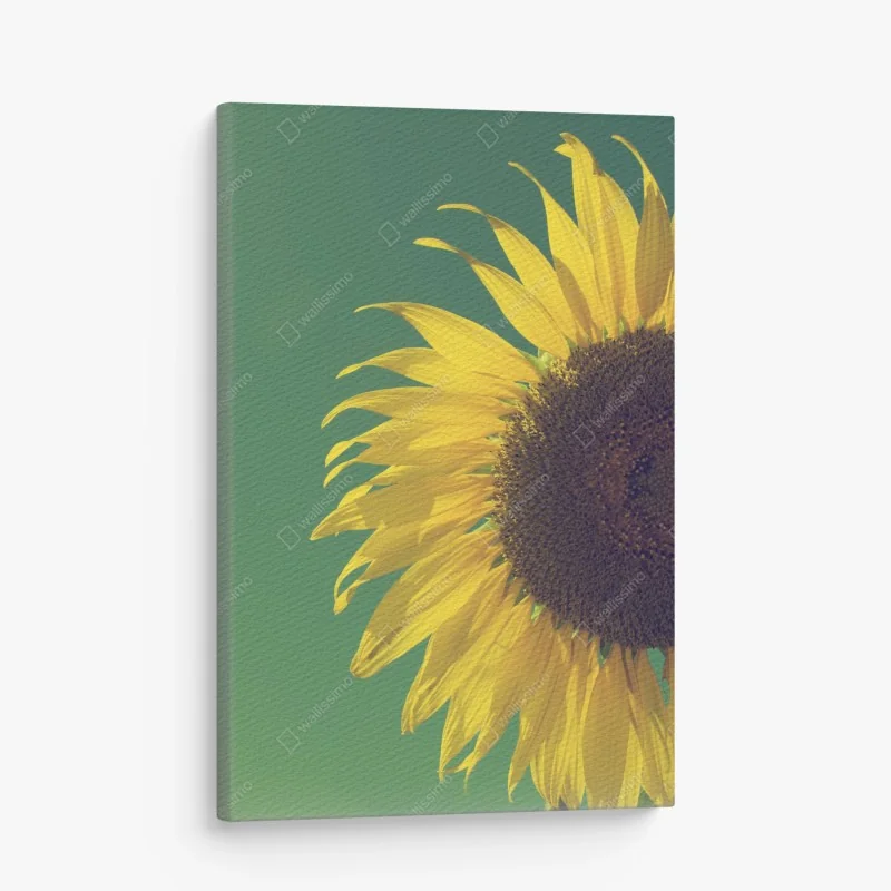 Leinwandbild palmenstrand in Punta Cana – Wallnifity®