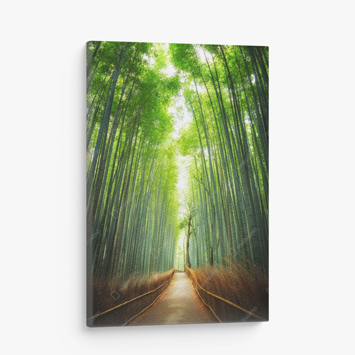 Leinwandbild weg durch den bambushain von Arashiyama – Wallnifity®