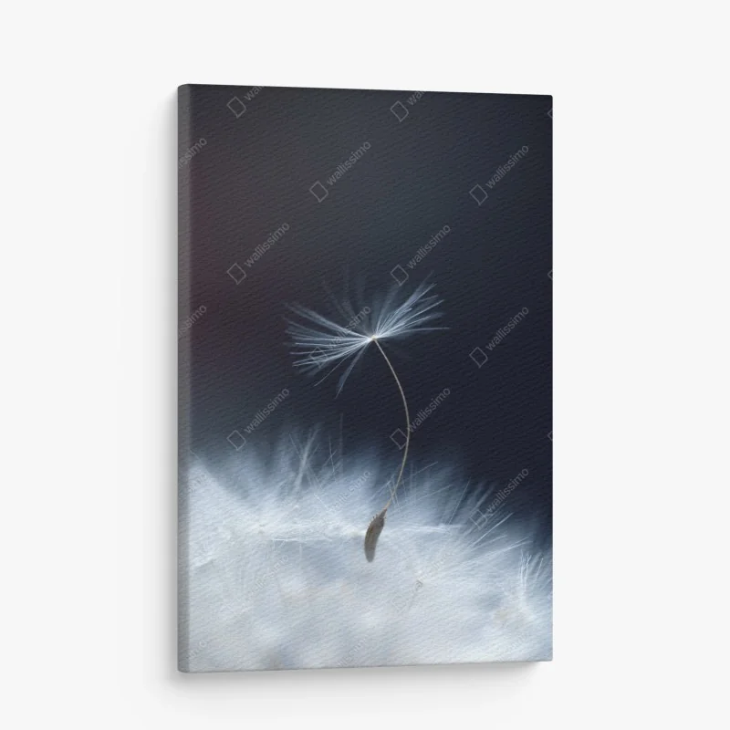 Leinwandbild Torres del Paine Patagonia landschaft mit guanako – Wallnifity®