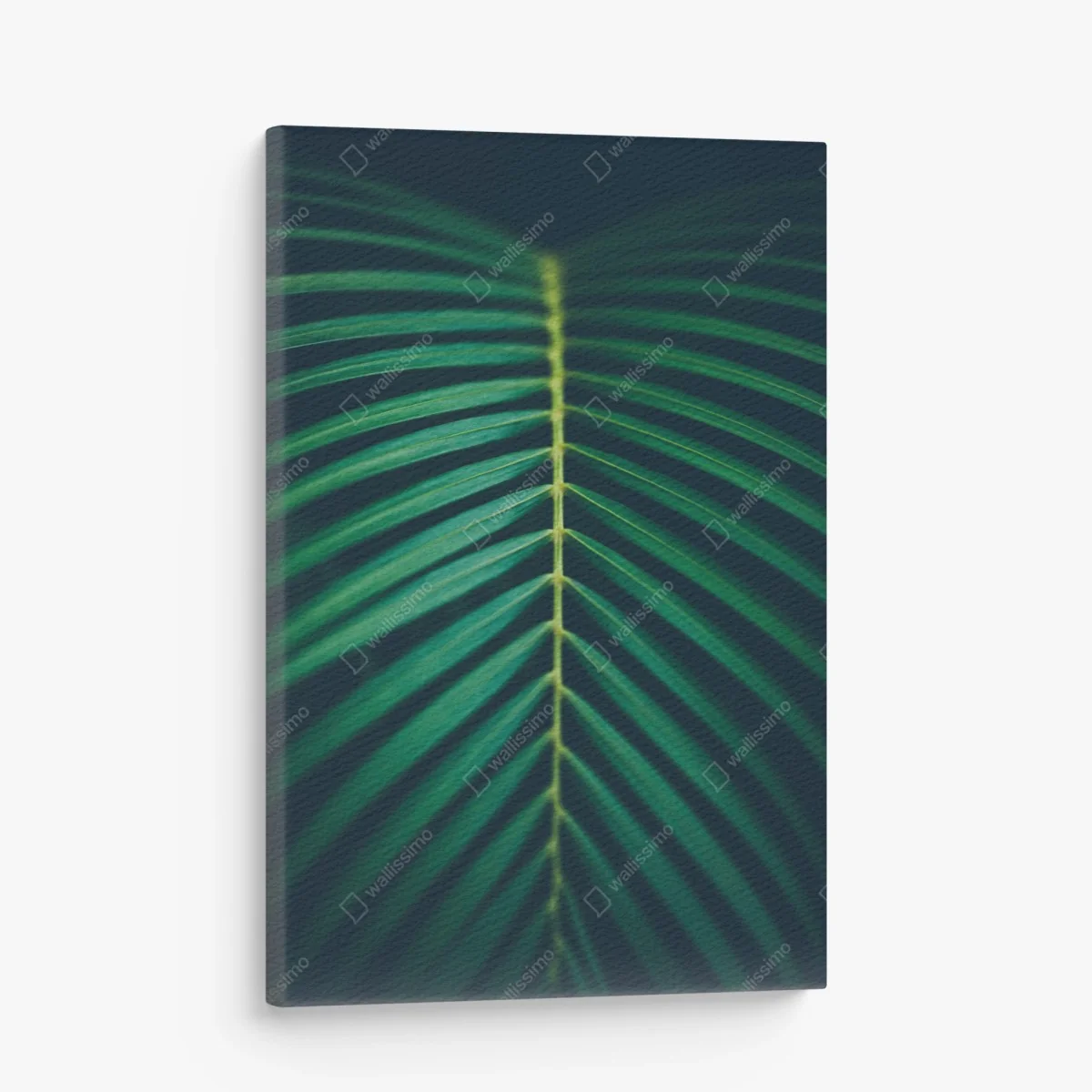 Leinwandbild vertikales palmenblatt nahaufnahme – Wallnifity® Leinwandbild vertikales palmenblatt nahaufnahme – Wallnifity®