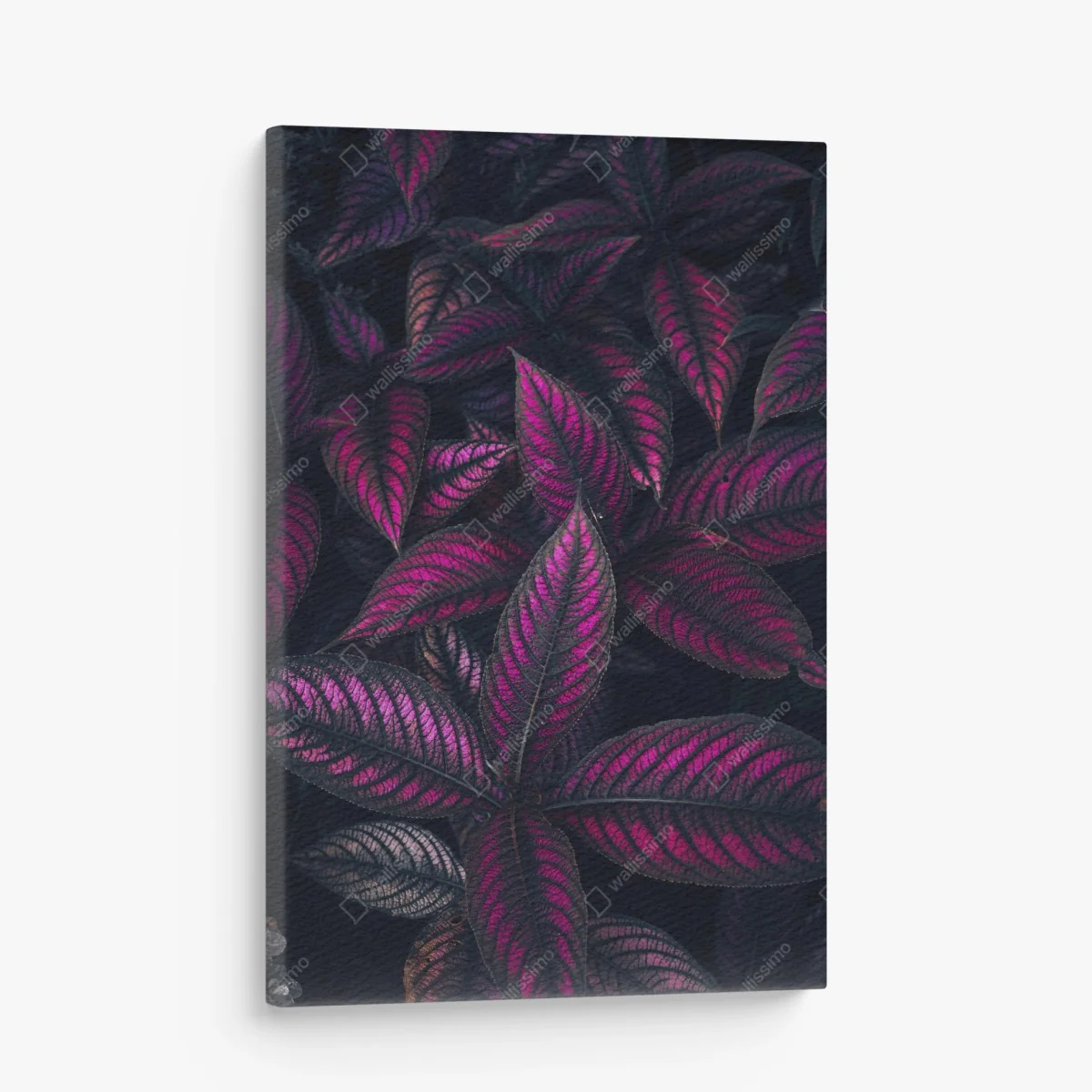 Leinwandbild leuchtendes violettes blättermotiv – Wallnifity® Leinwandbild leuchtendes violettes blättermotiv – Wallnifity®