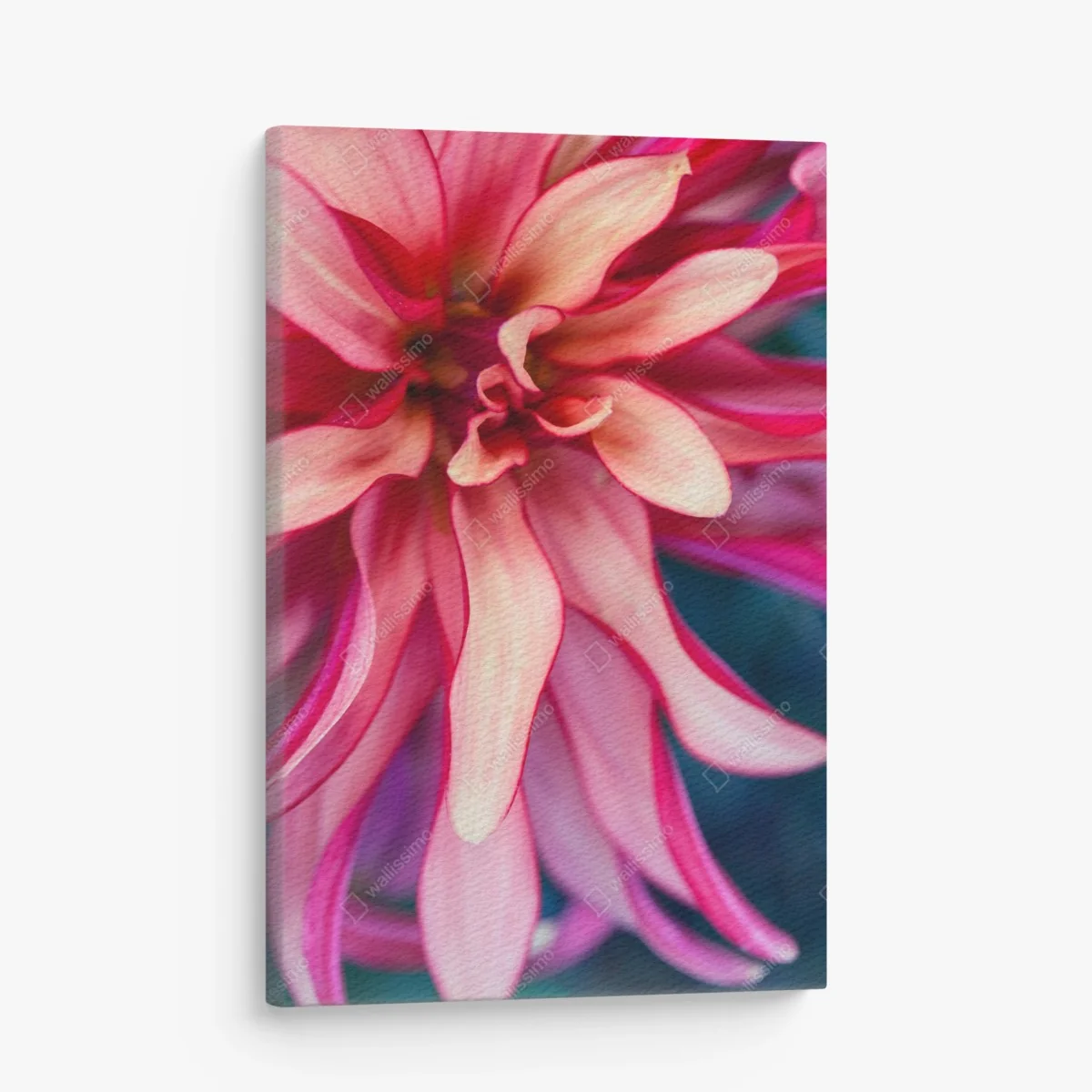 Leinwandbild vibrantes rosa blütenmakro – Wallnifity® Leinwandbild vibrantes rosa blütenmakro – Wallnifity®