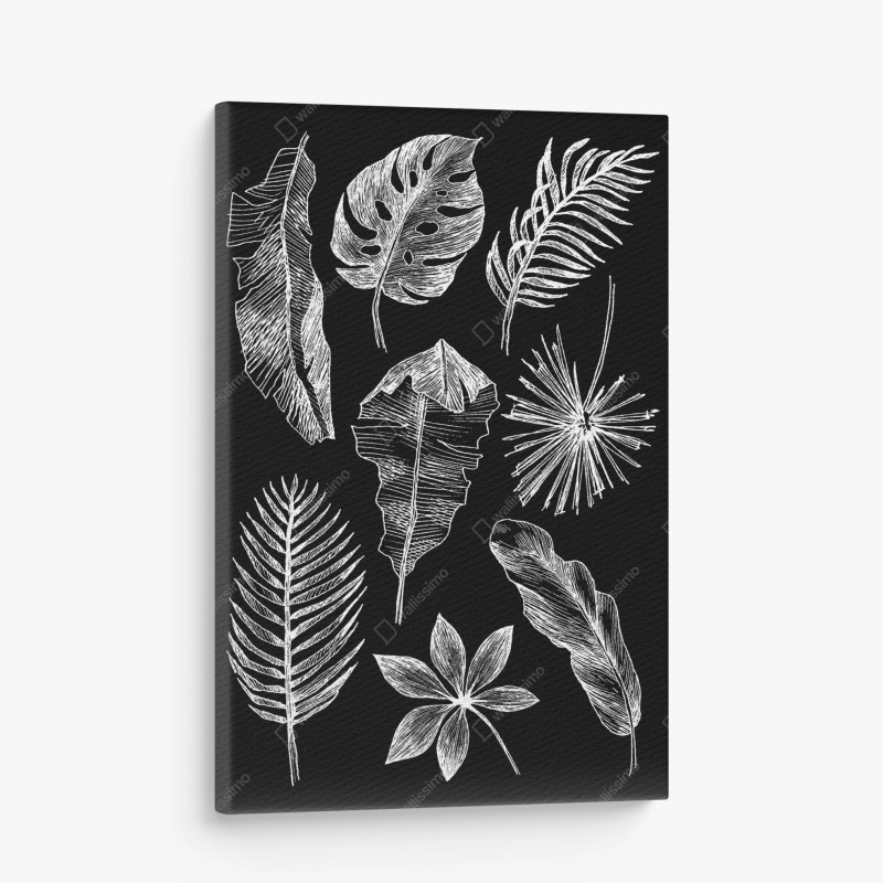 Leinwandbild feine botanische linienzeichnung mit blumen – Wallnifity®