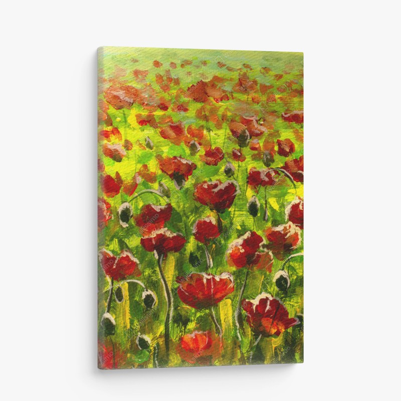 Leinwandbild feld roter mohnblumen