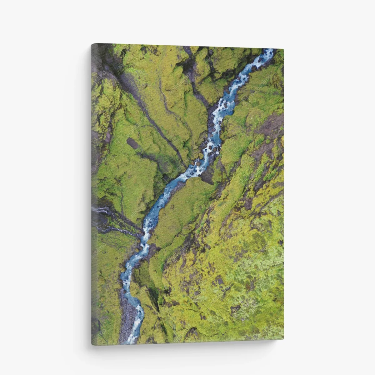 Leinwandbild luftaufnahme: fluss in moosbedeckter schlucht – Wallnifity®