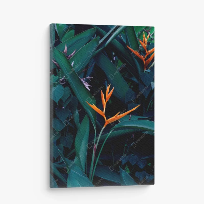 Leinwandbild rotes eichhörnchen auf moosigem stamm – Wallnifity®