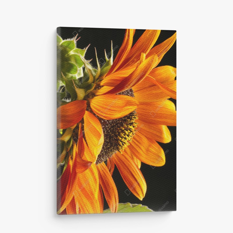 Leinwandbild traditionelle ebru abstrakte marmormuster in lila und orange – Wallnifity®