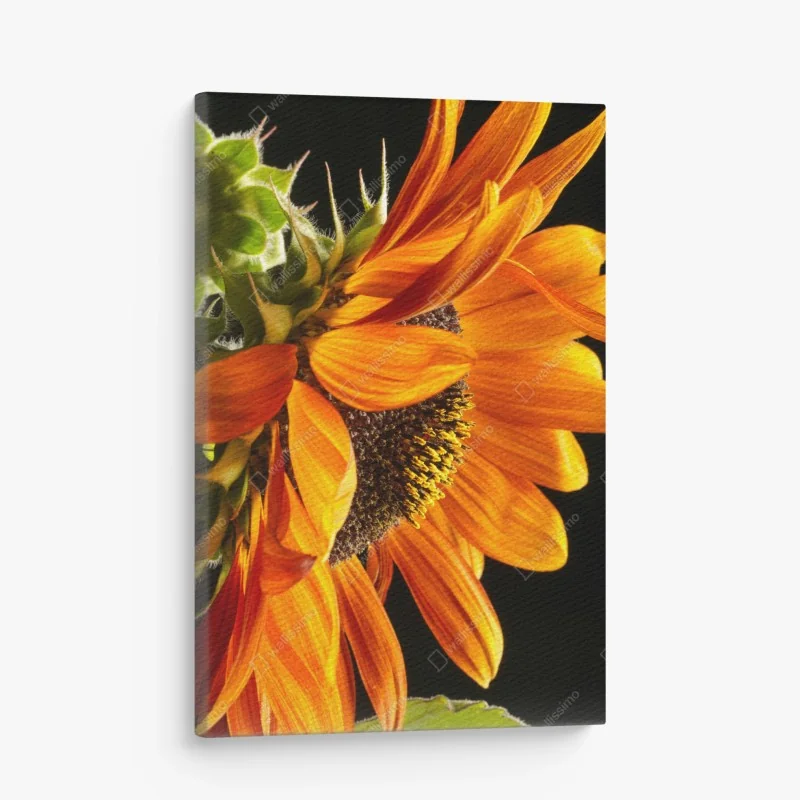 Leinwandbild Mount Fuji morgendliche reflexion über ruhigem see – Wallnifity®