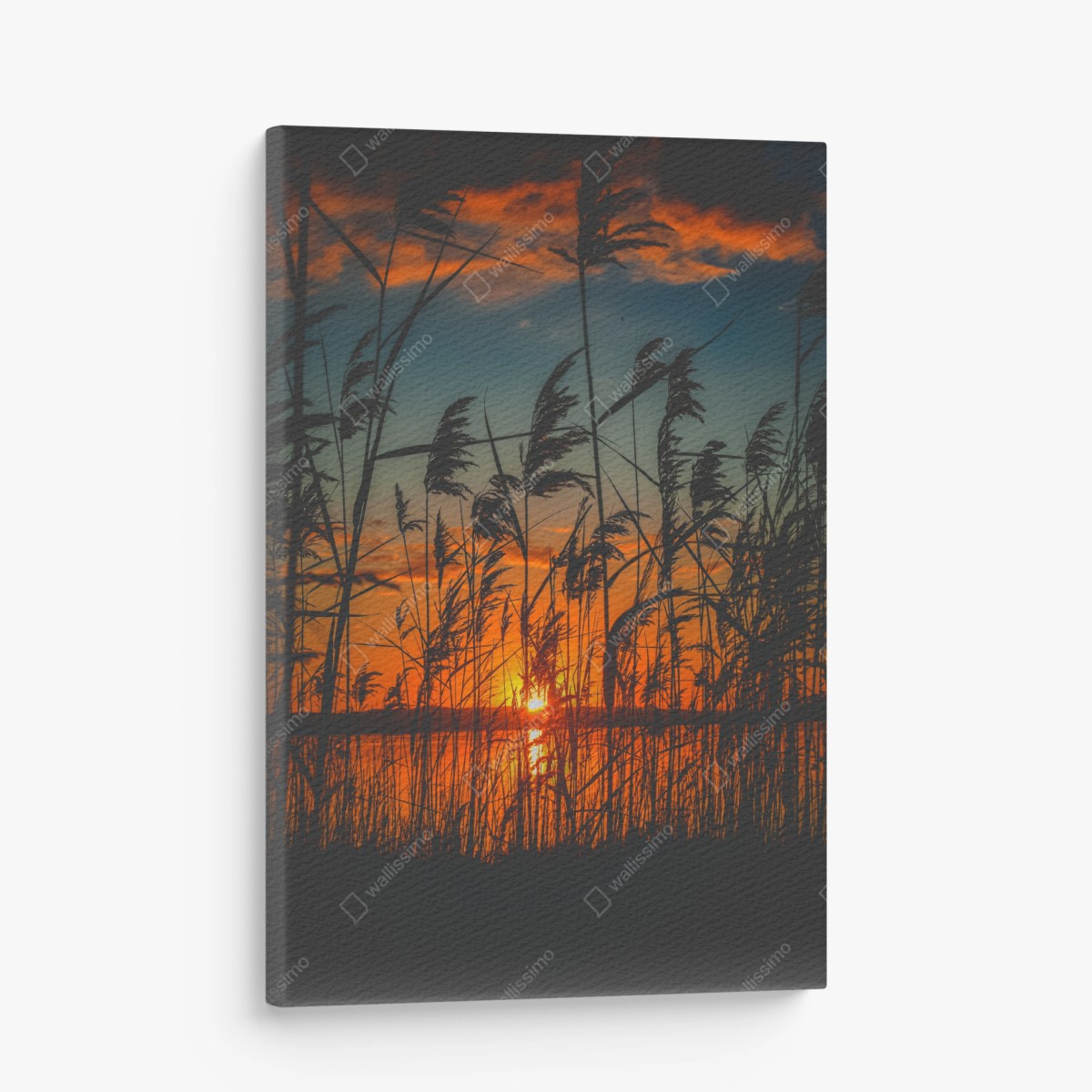 Leinwandbild sonnenuntergang am see mit schilf-silhouette – Wallnifity® Leinwandbild sonnenuntergang am see mit schilf-silhouette – Wallnifity®