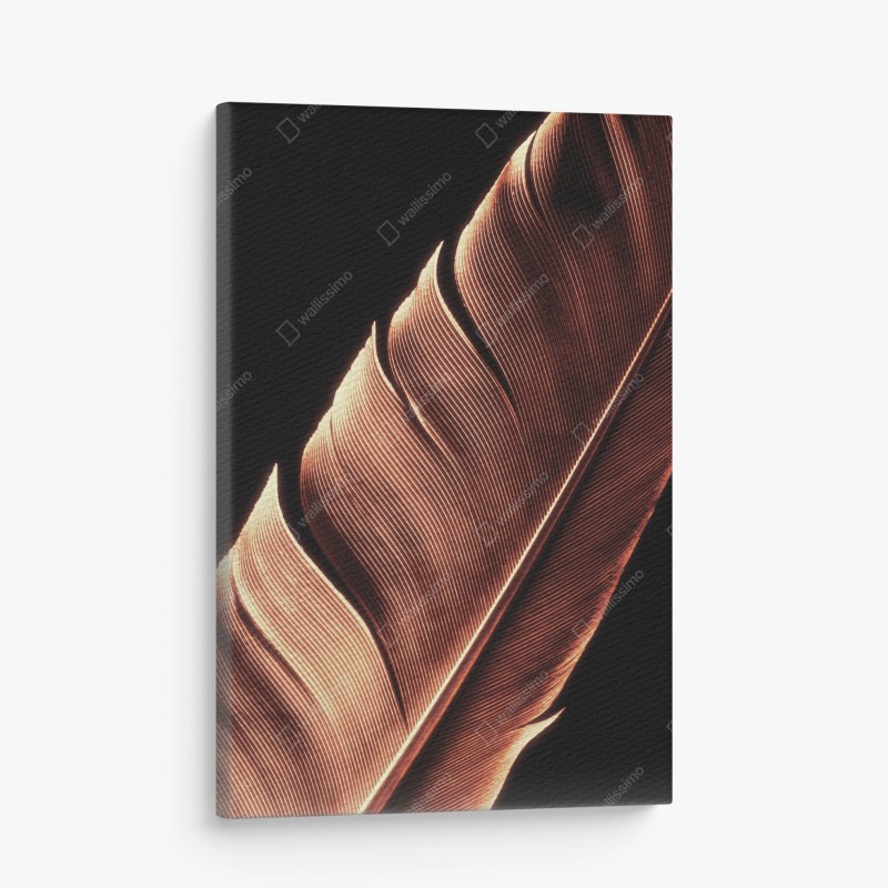 Leinwandbild goldene feder makro vor schwarzem hintergrund