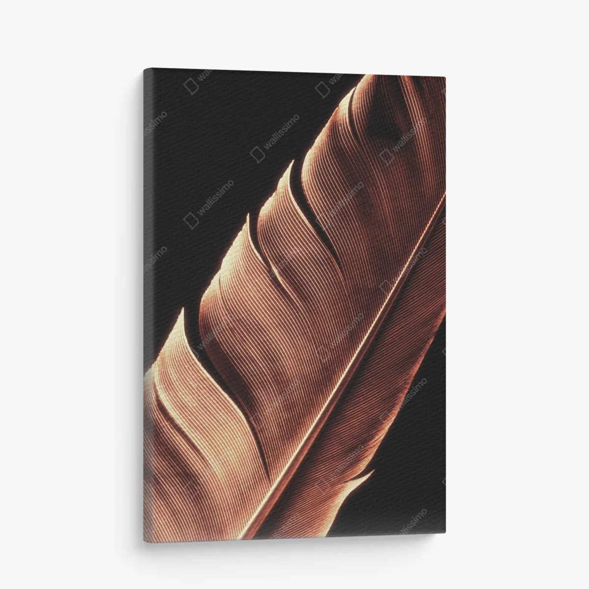 Leinwandbild goldene feder makro vor schwarzem hintergrund – Wallnifity®