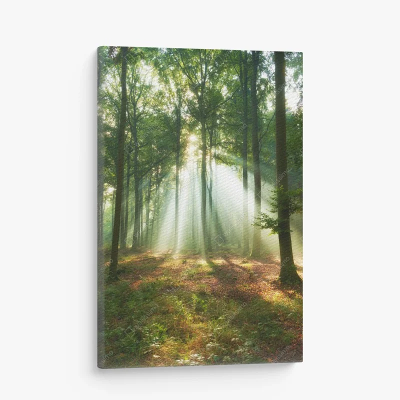 Leinwandbild pfingstrosenwiese im frühling — impasto blumenbild – Wallnifity®