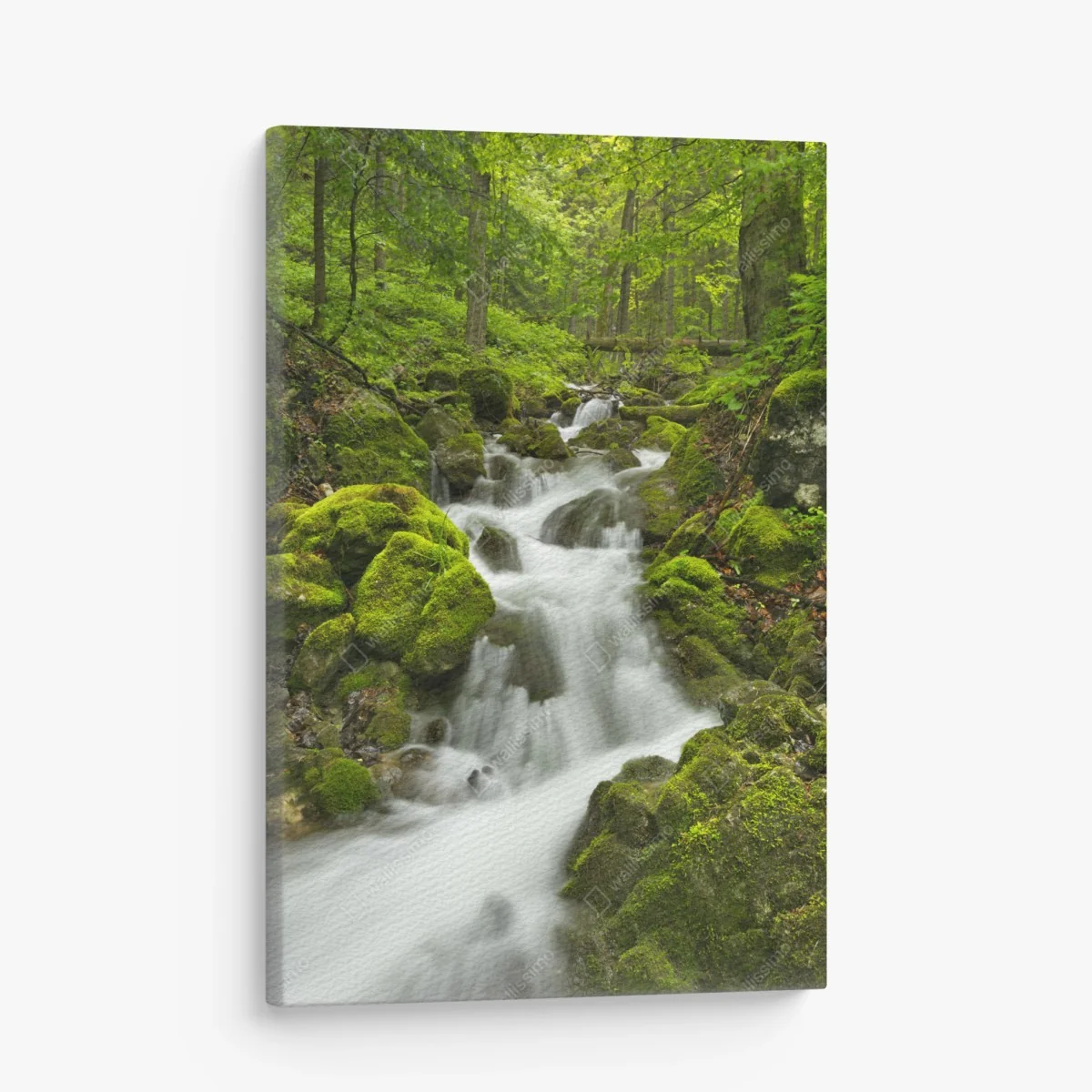 Leinwandbild moosiger wasserfall – Wallnifity® Leinwandbild moosiger wasserfall – Wallnifity®