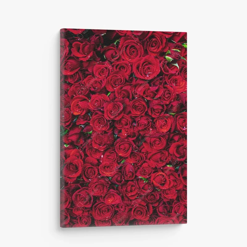 Leinwandbild dichte wand aus roten rosen
