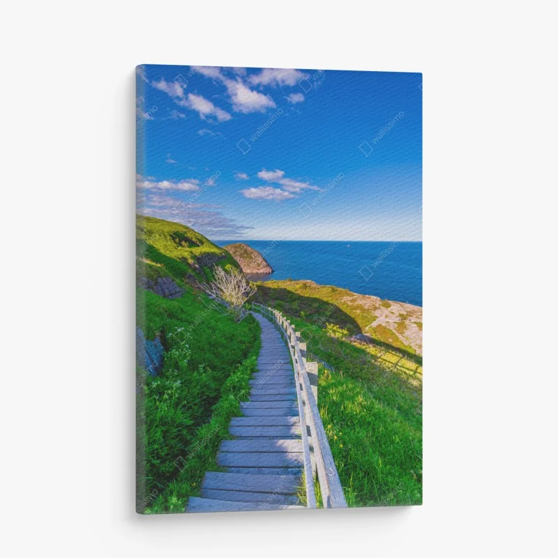 Leinwandbild küstenpfad mit blick auf das meer